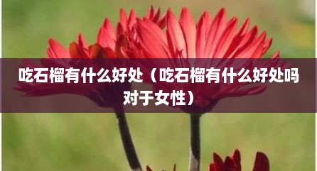 吃石榴有什么好处（吃石榴有什么好处吗对于女性）