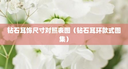 钻石耳饰尺寸对照表图（钻石耳环款式图集）
