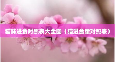 猫咪进食对照表大全图（猫进食量对照表）