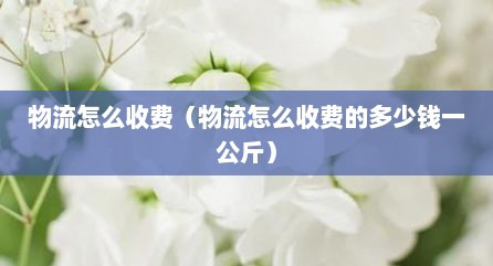 物流怎么收费（物流怎么收费的多少钱一公斤）