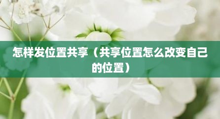 怎样发位置共享（共享位置怎么改变自己的位置）