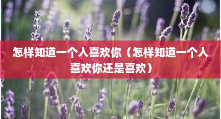 怎样知道一个人喜欢你（怎样知道一个人喜欢你还是喜欢）