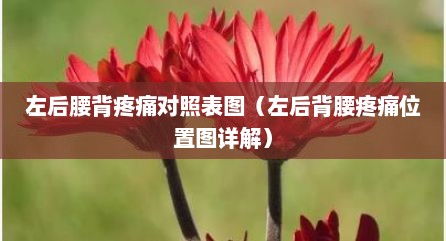 左后腰背疼痛对照表图（左后背腰疼痛位置图详解）
