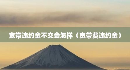 宽带违约金不交会怎样（宽带费违约金）
