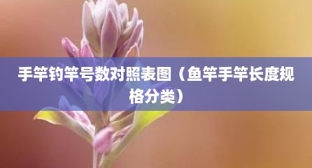 手竿钓竿号数对照表图（鱼竿手竿长度规格分类）