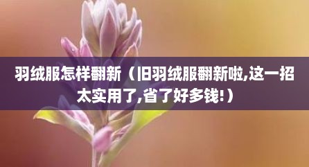 羽绒服怎样翻新（旧羽绒服翻新啦,这一招太实用了,省了好多钱!）