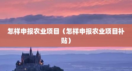 怎样申报农业项目（怎样申报农业项目补贴）