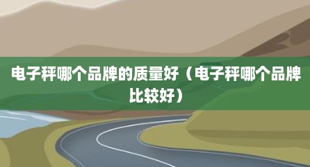 电子秤哪个品牌的质量好（电子秤哪个品牌比较好）