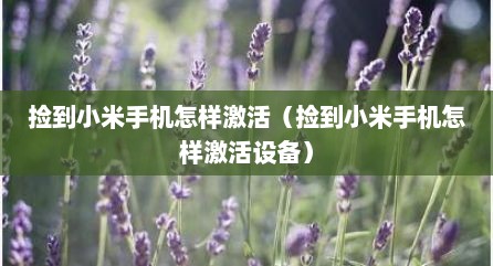 捡到小米手机怎样激活（捡到小米手机怎样激活设备）