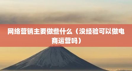 网络营销主要做些什么（没经验可以做电商运营吗）