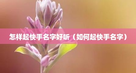 怎样起快手名字好听（如何起快手名字）