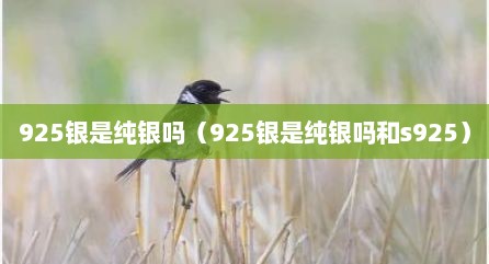 925银是纯银吗（925银是纯银吗和s925）