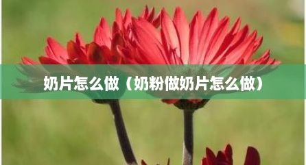 奶片怎么做（奶粉做奶片怎么做）