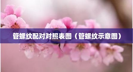 管螺纹配对对照表图（管螺纹示意图）