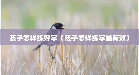 孩子怎样练好字（孩子怎样练字最有效）