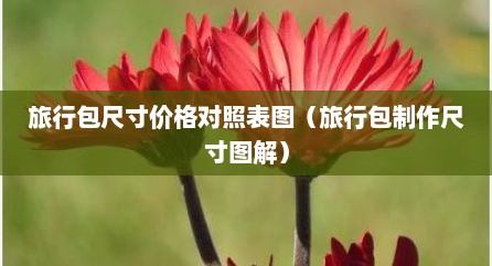 旅行包尺寸价格对照表图（旅行包制作尺寸图解）