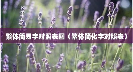 繁体简易字对照表图（繁体简化字对照表）