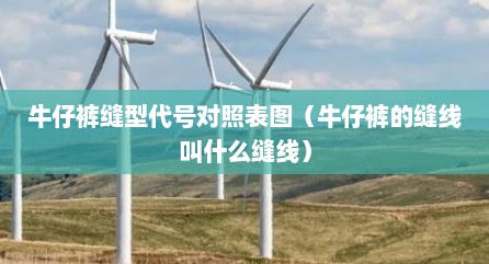 牛仔裤缝型代号对照表图（牛仔裤的缝线叫什么缝线）