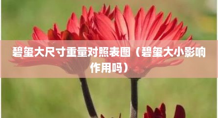 碧玺大尺寸重量对照表图（碧玺大小影响作用吗）