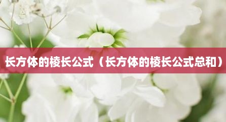 长方体的棱长公式（长方体的棱长公式总和）