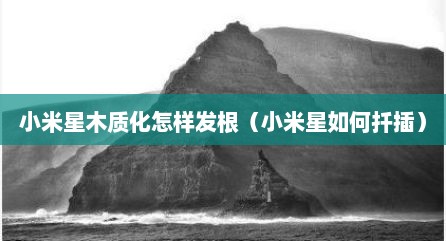 小米星木质化怎样发根（小米星如何扦插）