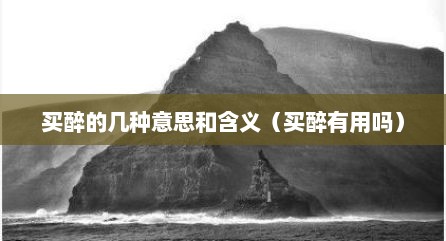 买醉的几种意思和含义（买醉有用吗）