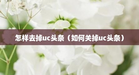 怎样去掉uc头条（如何关掉uc头条）