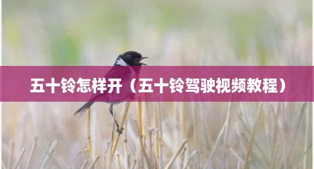 五十铃怎样开（五十铃驾驶视频教程）