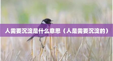 人需要沉淀是什么意思（人是需要沉淀的）