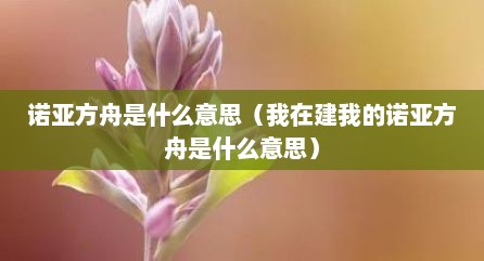 诺亚方舟是什么意思（我在建我的诺亚方舟是什么意思）