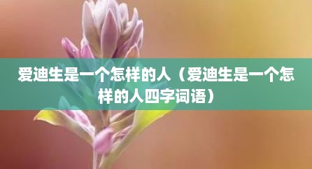 爱迪生是一个怎样的人（爱迪生是一个怎样的人四字词语）