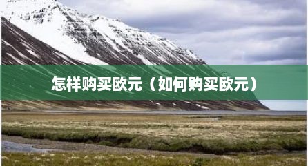 怎样购买欧元（如何购买欧元）