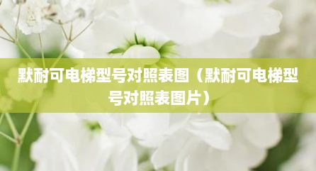 默耐可电梯型号对照表图（默耐可电梯型号对照表图片）