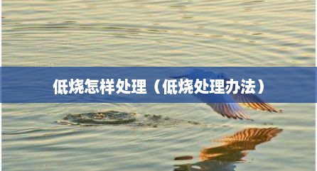 低烧怎样处理（低烧处理办法）