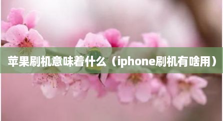 苹果刷机意味着什么（iphone刷机有啥用）