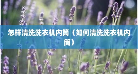 怎样清洗洗衣机内筒（如何清洗洗衣机内筒）
