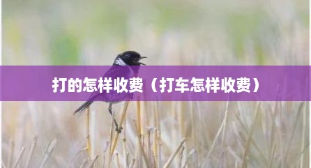 打的怎样收费（打车怎样收费）