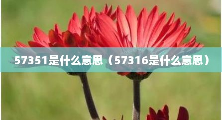 57351是什么意思（57316是什么意思）
