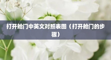 打开舱门中英文对照表图（打开舱门的步骤）