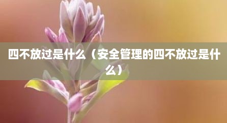 四不放过是什么（安全管理的四不放过是什么）