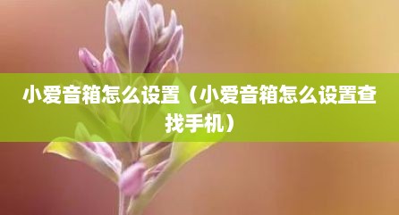 小爱音箱怎么设置（小爱音箱怎么设置查找手机）