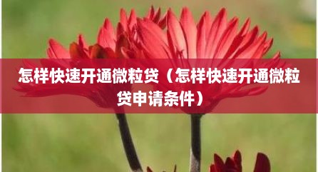 怎样快速开通微粒贷（怎样快速开通微粒贷申请条件）