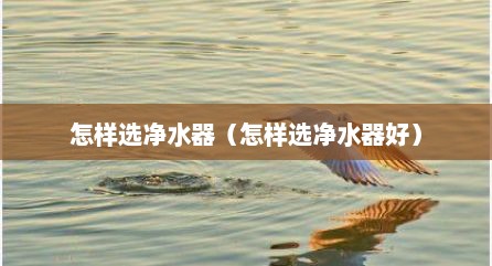 怎样选净水器（怎样选净水器好）