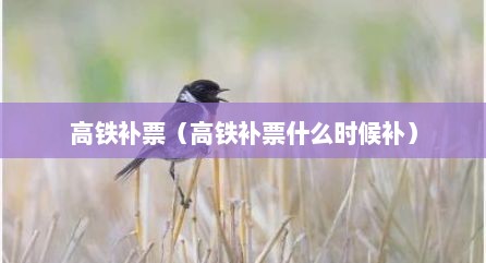高铁补票（高铁补票什么时候补）