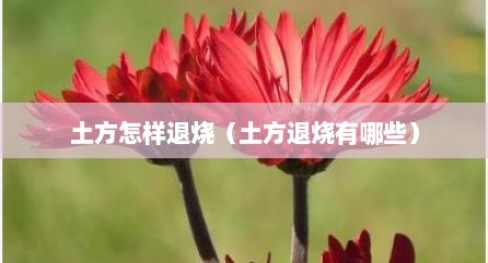 土方怎样退烧（土方退烧有哪些）