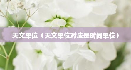 天文单位（天文单位对应是时间单位）