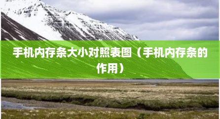 手机内存条大小对照表图（手机内存条的作用）