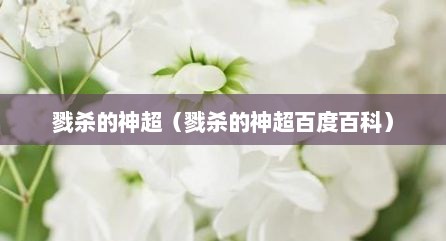 戮杀的神超（戮杀的神超百度百科）