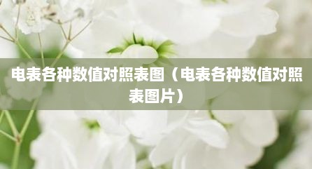 电表各种数值对照表图（电表各种数值对照表图片）