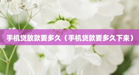 手机贷放款要多久（手机贷款要多久下来）